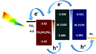 Graphical abstract: A dual-functional asymmetric squaraine-based low band gap hole transporting material for efficient perovskite solar cells