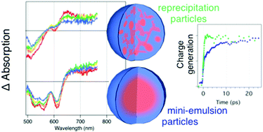 Graphical abstract: Charge generation and morphology in P3HT : PCBM nanoparticles prepared by mini-emulsion and reprecipitation methods