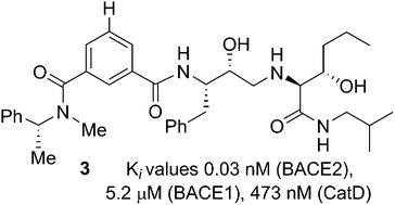 Graphical abstract: Design of potent and highly selective inhibitors for human β-secretase 2 (memapsin 1), a target for type 2 diabetes