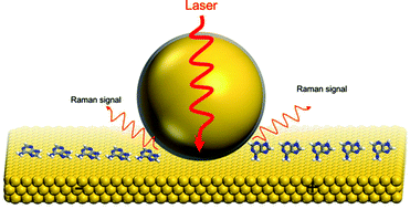 Graphical abstract: Shell-isolated nanoparticle-enhanced Raman spectroscopy study of the adsorption behaviour of DNA bases on Au(111) electrode surfaces