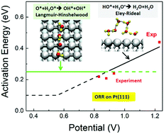 Graphical abstract: Mechanism and kinetics of the electrocatalytic reaction responsible for the high cost of hydrogen fuel cells