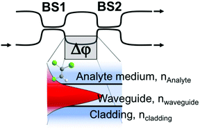 Graphical abstract: Chem/bio sensing with non-classical light and integrated photonics