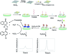 Graphical abstract: An electrochemiluminescence sensor based on CdSe@CdS functionalized MoS2 and hemin/G-quadruplex-based DNAzyme biocatalytic precipitation for sensitive detection of Pb(ii)