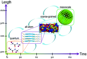 Graphical abstract: Multiscale simulations for understanding the evolution and mechanism of hierarchical peptide self-assembly