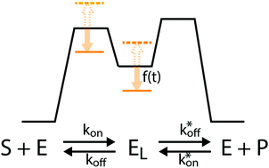 Graphical abstract: Mastering the non-equilibrium assembly and operation of molecular machines