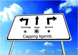 Graphical abstract: The role and fate of capping ligands in colloidally prepared metal nanoparticle catalysts