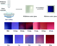 Graphical abstract: Imidazole and triazole head group-containing polydiacetylenes for colorimetric monitoring of pH and detecting HCl gas