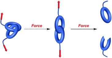 Graphical abstract: Mechanochemistry of the mechanical bond