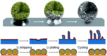 Graphical abstract: A lithium–carbon nanotube composite for stable lithium anodes