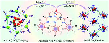 Graphical abstract: Cyclic (H2O)6 confined hexameric host–guest assemblies and aerial CO2 fixation by electron-rich neutral urea/thiourea scaffolds