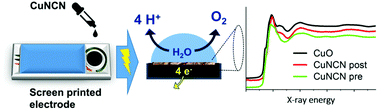 Graphical abstract: Monitoring surface transformations of metal carbodiimide water oxidation catalysts by operando XAS and Raman spectroscopy