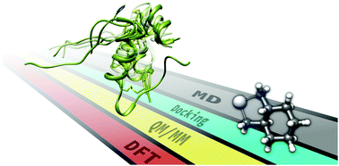 Graphical abstract: Computational insight into the interaction of oxaliplatin with insulin