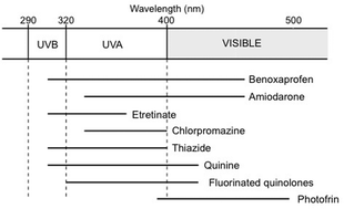 Graphical abstract: Drug and chemical induced photosensitivity from a clinical perspective