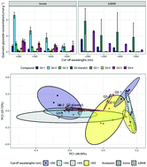 Graphical abstract: Responses of flavonoid profile and associated gene expression to solar blue and UV radiation in two accessions of Vicia faba L. from contrasting UV environments