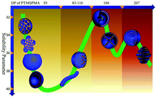 Graphical abstract: Evolution of diverse higher-order membrane structures of block copolymer vesicles