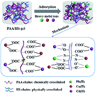 Graphical abstract: Pb(ii), Cu(ii) and Cd(ii) removal using a humic substance-based double network hydrogel in individual and multicomponent systems