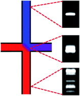 Graphical abstract: Incorporation of thermal gels for facile microfluidic transient isotachophoresis