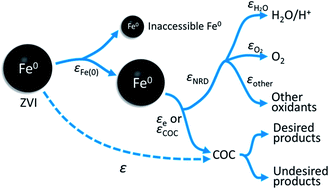 Graphical abstract: Quantifying the efficiency and selectivity of organohalide dechlorination by zerovalent iron