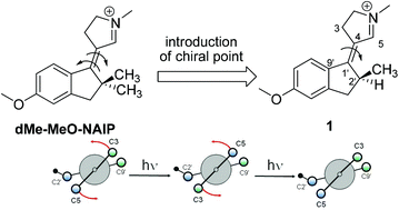 Graphical abstract: Synthesis, spectroscopy and QM/MM simulations of a biomimetic ultrafast light-driven molecular motor