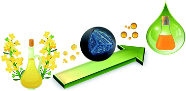 Graphical abstract: A carbon dot-catalyzed transesterification reaction for the production of biodiesel