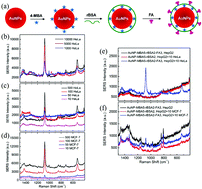 Graphical abstract: An efficient strategy for circulating tumor cell detection: surface-enhanced Raman spectroscopy