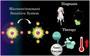 Graphical abstract: pH-Sensitive nanotheranostics for dual-modality imaging guided nanoenzyme catalysis therapy and phototherapy