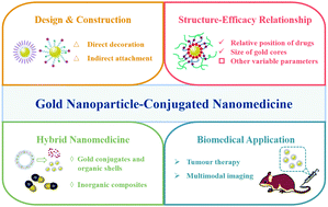 Graphical abstract: Gold nanoparticle-conjugated nanomedicine: design, construction, and structure–efficacy relationship studies