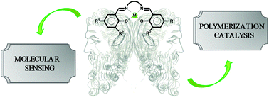 Graphical abstract: Salen-type aluminum and zinc complexes as two-faced Janus compounds: contribution to molecular sensing and polymerization catalysis