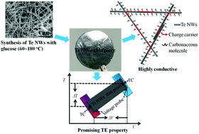 Graphical abstract: Green synthesis of air-stable tellurium nanowires via biomolecule-assisted hydrothermal for thermoelectrics