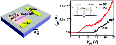 Graphical abstract: Photoresponse improvement of mixed-dimensional 1D–2D GaAs photodetectors by incorporating constructive interface states