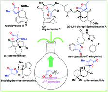 Graphical abstract: Strategies for the construction of γ-spirocyclic butenolides in natural product synthesis