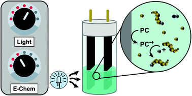 Graphical abstract: Impacts of performing electrolysis during organocatalyzed atom transfer radical polymerization