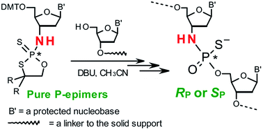 Graphical abstract: P-stereocontrolled synthesis of oligo(nucleoside N3′→O5′ phosphoramidothioate)s – opportunities and limitations