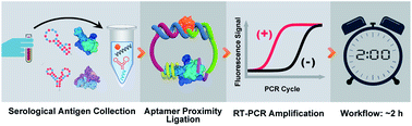 Graphical abstract: A serological aptamer-assisted proximity ligation assay for COVID-19 diagnosis and seeking neutralizing aptamers