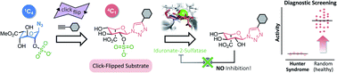 Graphical abstract: A click-flipped enzyme substrate boosts the performance of the diagnostic screening for Hunter syndrome