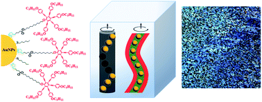 Graphical abstract: Two helices from one chiral centre – self organization of disc shaped chiral nanoparticles