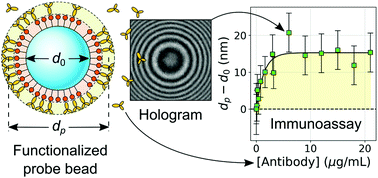 Graphical abstract: Holographic immunoassays: direct detection of antibodies binding to colloidal spheres