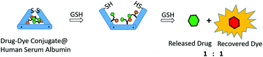 Graphical abstract: Theranostics system caged in human serum albumin as a therapy for breast tumors