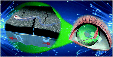 Graphical abstract: Application of graphene nanowalls in an intraocular pressure sensor