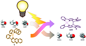 Graphical abstract: An NAD+-type earth-abundant metal complex enabling photo-driven alcohol oxidation