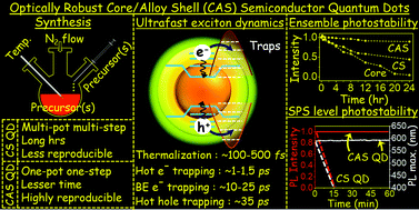 Graphical abstract: Ultrafast dynamics and ultrasensitive single particle spectroscopy of optically robust core/alloy shell semiconductor quantum dots