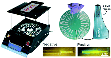 Graphical abstract: Sample-to-answer COVID-19 nucleic acid testing using a low-cost centrifugal microfluidic platform with bead-based signal enhancement and smartphone read-out