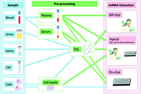 Graphical abstract: On-chip miRNA extraction platforms: recent technological advances and implications for next generation point-of-care nucleic acid tests