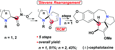 Graphical abstract: Construction of azaspirocyclic skeletons mediated by the carbonyl of the Weinreb amide: formal total synthesis of (±)-cephalotaxine