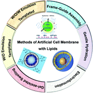 Graphical abstract: Advancements in the preparation methods of artificial cell membranes with lipids