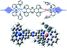 Graphical abstract: Unveiling ultrafast dynamics in bridged bimetallic complexes using optical and X-ray transient absorption spectroscopies