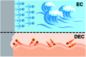 Graphical abstract: Formation mechanism of the solid electrolyte interphase in different ester electrolytes