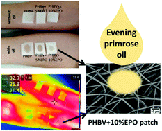 Graphical abstract: Enhanced mechanical performance and wettability of PHBV fiber blends with evening primrose oil for skin patches improving hydration and comfort