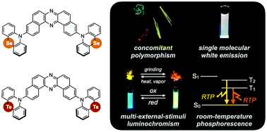 Graphical abstract: Revealing the internal heavy chalcogen atom effect on the photophysics of the dibenzo[a,j]phenazine-cored donor–acceptor–donor triad