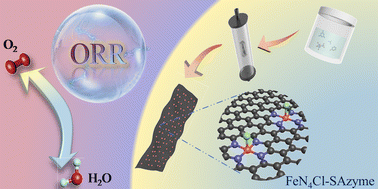 Graphical abstract: Axial optimization of biomimetic nanoenzyme catalysts applied to oxygen reduction reactions